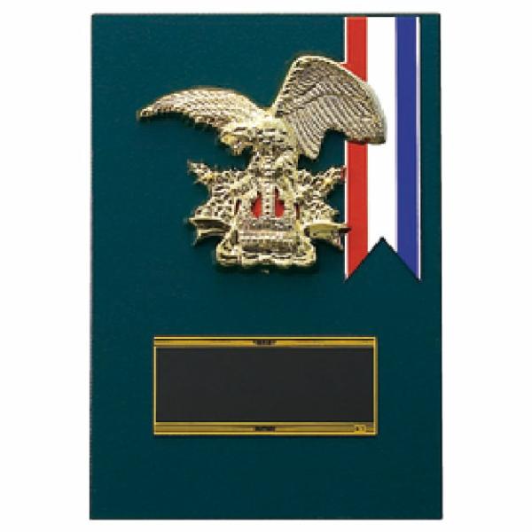 鷲をモチーフとした楯(盾)です。ゴルフ、サッカー、野球などの各種スポーツ大会の表彰や、企業表彰、感謝状、功労賞、表彰状、退職記念などの記念品としてご利用いただけます。装飾に紅白リボンを取り付けます（無料）。