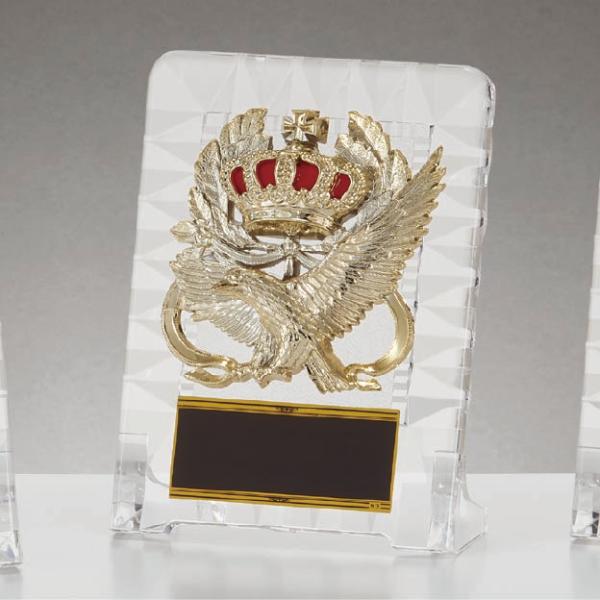 鷲をモチーフとした楯(盾)です。ゴルフ、サッカー、野球などの各種スポーツ大会の表彰や、企業表彰、感謝状、功労賞、表彰状、退職記念などの記念品としてご利用いただけます。