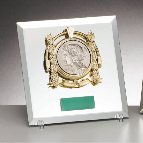 各種スポーツ大会など表彰式で使われる楯(盾)です。各種大会・表彰の記念品、卒業記念、卒団記念などに最適です。種目は、以下の17種類から選べます。　賞・柔道・ボウリング・空手・野球・水泳　ゲートボール・剣道・サッカー・卓球・テニス　ソフトボー...