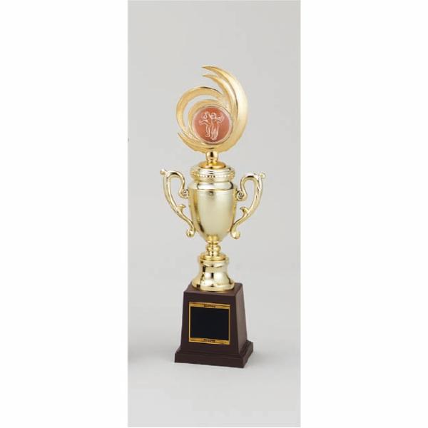 各種スポーツ大会など表彰式で使われる、上部にクリアメダルがついたトロフィーです。記念品やレプリカなどに最適です。種目は、以下の31種類から選べます。いずれも金・銀・銅があります。　月桂樹女神・ワシ・鳳凰・女神・地球・王冠・ゴルフ　サッカーＡ...