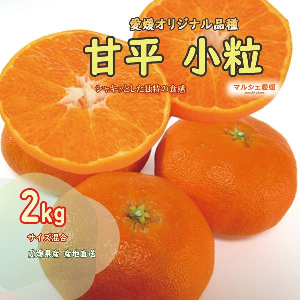 甘平みかん 甘平 小粒 2キロ サイズ混合 家庭用 訳あり 2kg 酸味有