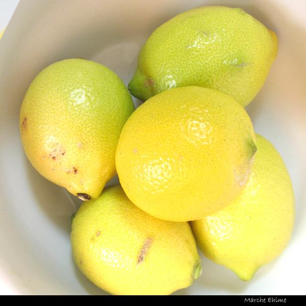 レモンおまとめ 楽天市場】【店内全品P10倍！楽天初売り期間限定】オタフク 怪獣レモン