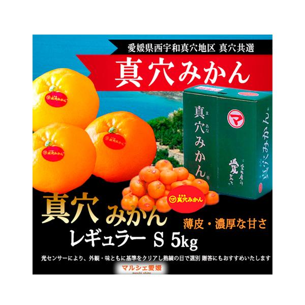 真穴みかん 5kg S s 5キロ まあな 良品 レギュラー 西宇和 贈答 みかん 