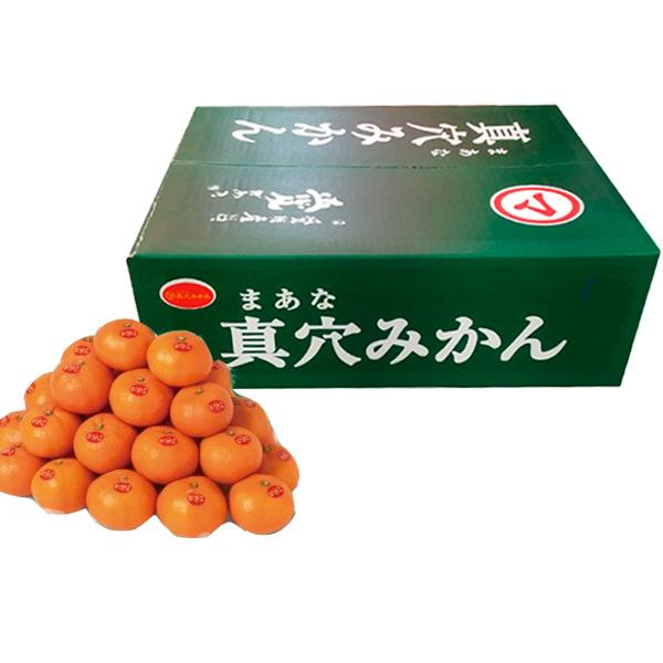 真穴みかん 5キロ レギュラー 良品 5kg S M L 愛媛 西宇和 みかん 真穴