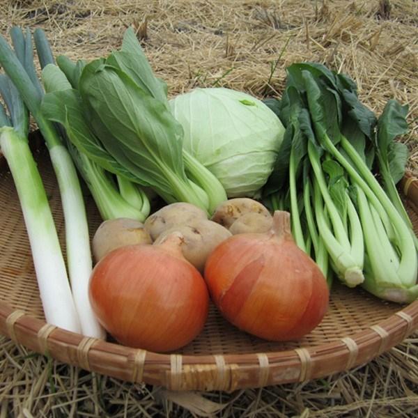 内容量：野菜6品　保存方法：野菜　10℃以下で保存（要冷蔵）産地：愛媛県常温便/冷蔵便　気温や天候によって冷蔵便に変更となる場合があります送料：送料込（但し北海道、東北、沖縄は追加の送料）【発送】ご注文を頂いてから野菜を用意するため発送まで...