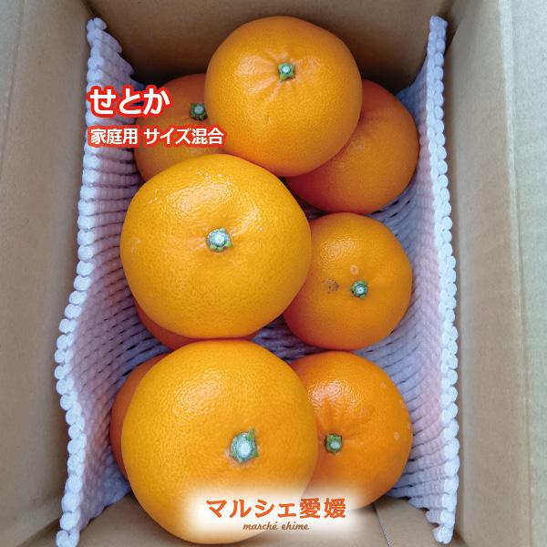せとか みかん 家庭用 サイズ混合 傷有 少量 L 2L 訳あり 柑橘 愛媛 箱
