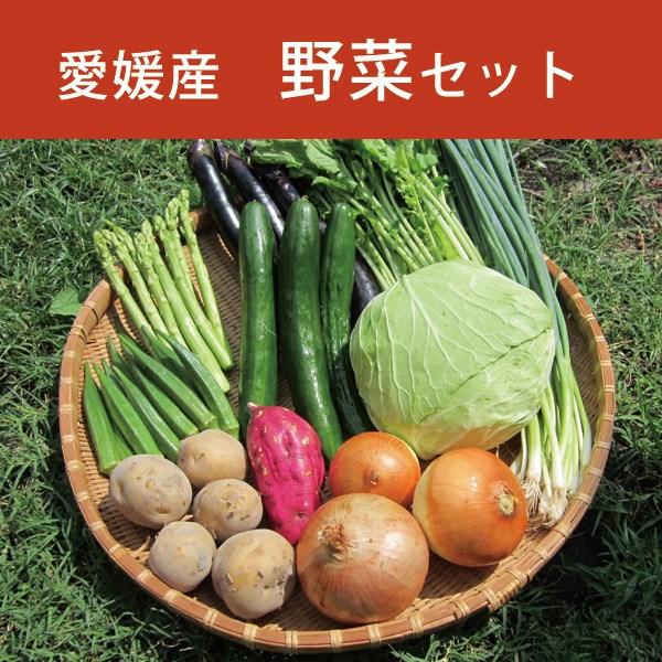 内容量：野菜10品　10kg以内 保存方法：野菜　10℃以下で保存（要冷蔵）産地：愛媛県常温便/冷蔵便　気温や天候によって冷蔵便に変更となる場合があります送料：送料込　但し北海道、東北、沖縄は追加送料発送：ご注文を頂いてから野菜を用意するた...