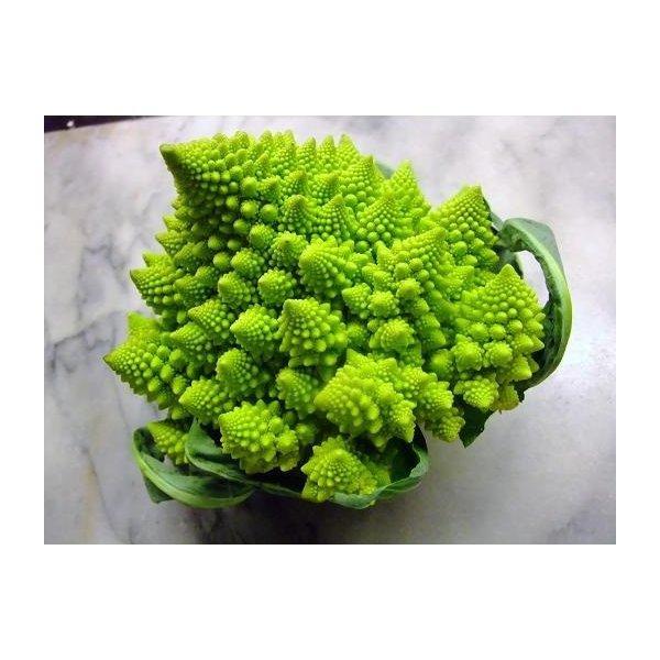 購入は１個.２個・・・個数で入力してください。とっても珍しいイタリア野菜が入荷です。ロマネスクはカリフラワーとブロッコリーの掛け合わせ？約300ｇ〜800ｇ前後（大きさは季節により変わります）是非、お試しください。5184円/1ｋｇ（およそ...