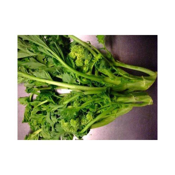 約500ｇ炒めてよし、茹でてよし。パスタや温野菜、リゾットまで・・・入荷の無い場合もございます。ご了承ください