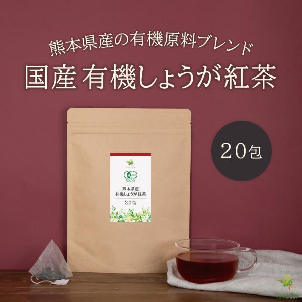 [Release date: March 10, 2025]名称　　　　　有機生姜紅茶原材料名　　　有機紅茶、有機生姜原料原産地名　熊本県内容量　　　　40g（2g×20包）賞味期限　　　別途商品ラベルに記載保存方法　　　開封後はふたを閉め...