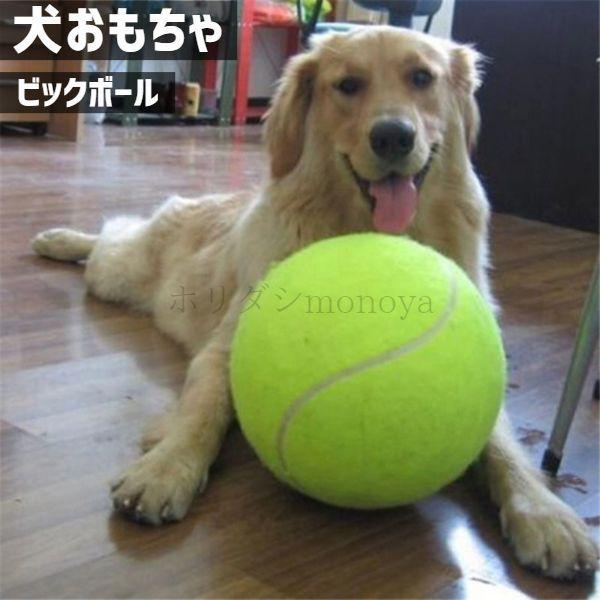 犬 おもちゃ ボール インスタ映え ビッグサイズ テニスボール ペット 玩具 am5 Mare ヤフーショップ 通販 Yahoo ショッピング