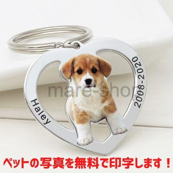 キーホルダー チャーム 犬 猫 ペット 首輪 犬用迷子札 名前入れ 名入れ