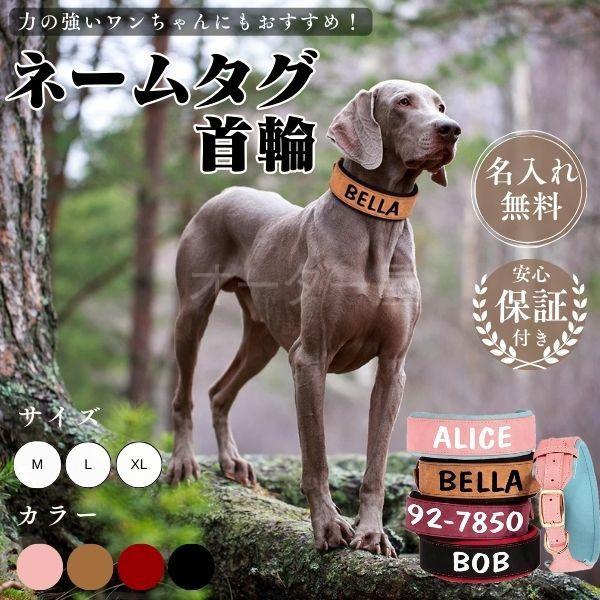 首輪 犬 名前入り 革 PUレザー おしゃれ ネーム 無料刻印 中型 大型犬 迷子札 安心 安全 痛くない パッド付き 4色 日本語対応