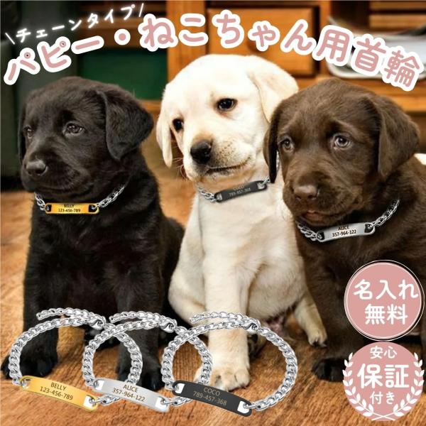 首輪 犬 名前入り チェーン ネックレス ペット用 おしゃれ ネーム 無料刻印 子犬 子猫 パピー 猫 小型犬 迷子札 安心 安全 電話番号入り 日本語対応