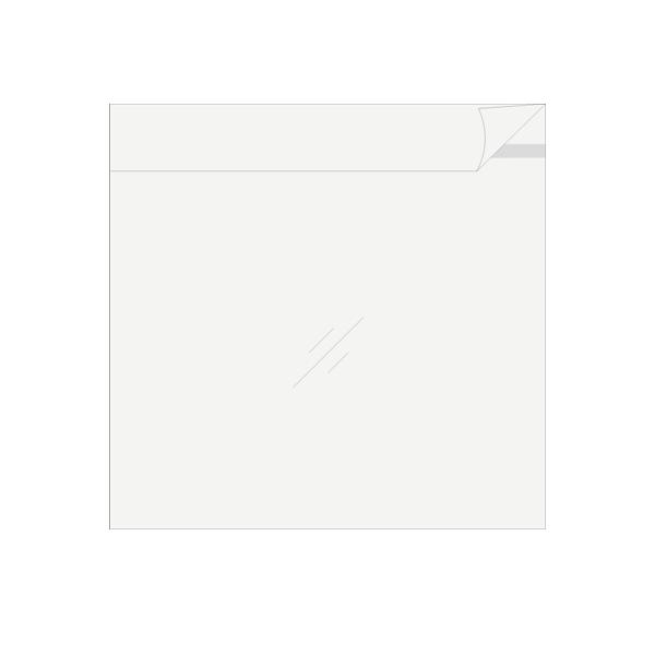 LPジャケットクリアシール LPレコード 12インチ用 OPP製 のり付き袋 500枚 セット / LP-012