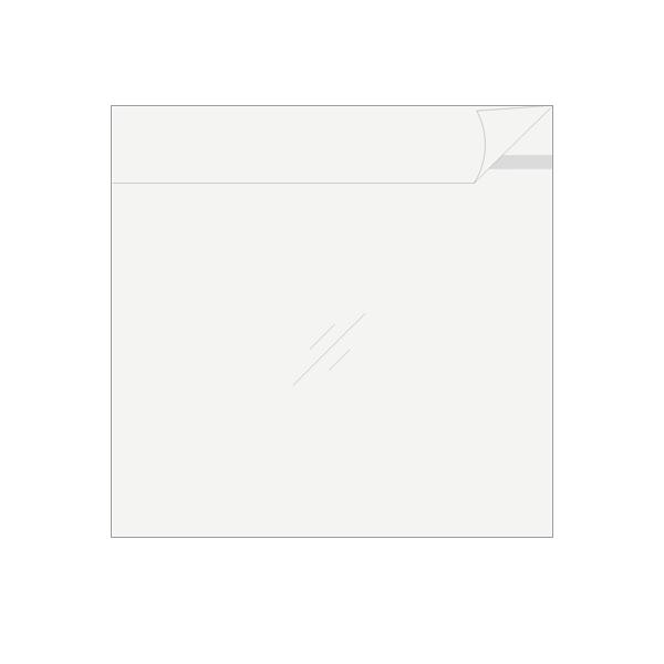 LP�W���P�b�g�N���A�V�[�� LP���R�[�h 12�C���`�p OPP�� �̂�t���� �W���X�g�T�C�Y 500�� �Z�b�g / LP-013