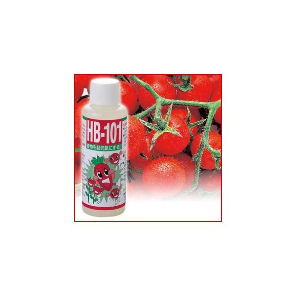 ���|�p���͍� �A������HB-101 100ml �A�C���f�B�A