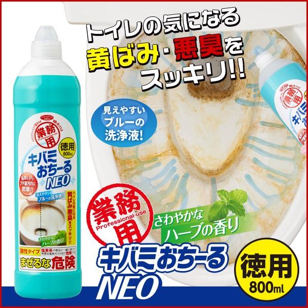 おみそページ♡⃜ アイメディア ＼黄ばみ 臭いスッキリ ピカピカ／尿石落とし 徳用