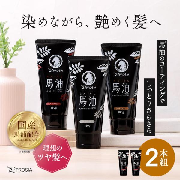 白髪染め 馬油ヘアカラートリートメント 2本組 セルフカラー リタッチ 180g 日本製 レディース 白髪 全体染め ブラック ダークブラウン アイメディア