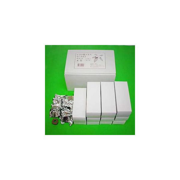 もぐさ入りカセット徳用(120個入) (10個入白箱×12箱）