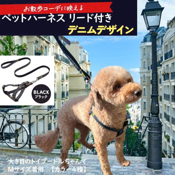 犬ハーネス 犬リード 猫 ハーネス デニム リード付き 小型犬 中型犬 散歩 簡単装着 おしゃれ かわいい 胴輪 サイズ調節 ショルダーリード シンプル 抜けない ハーネス＆リードの2点setデニム柄で可愛くおしゃれ■着せやすく、動きやすい...