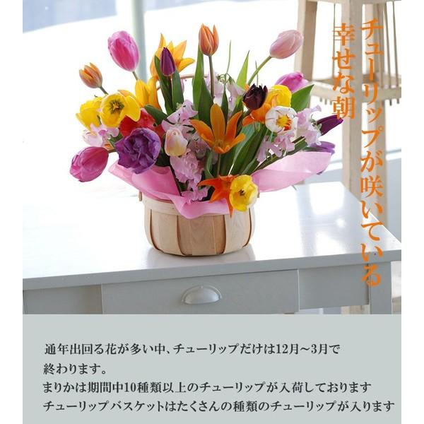 7日前予約品 花 チューリップ バスケット 生花 アレンジメント 宅配 フラワー ギフト 誕生日 お花 プレゼント 女性 母 送別会 退職祝い Buyee 日本代购平台 产品购物网站大全 Buyee一站式代购 Bot Online
