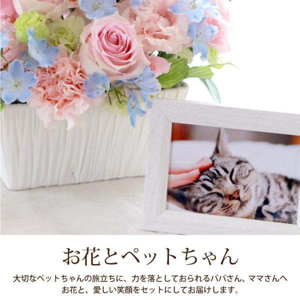 ペット お悔やみ 花 ギフト 星 あの子 Ac お供え お花 犬 猫 命日 フォトフレーム 写真立て ご霊前 供養花 花束 生花 仏花 供花 宅配 贈り物 Buyee Buyee Japanese Proxy Service Buy From Japan Bot Online