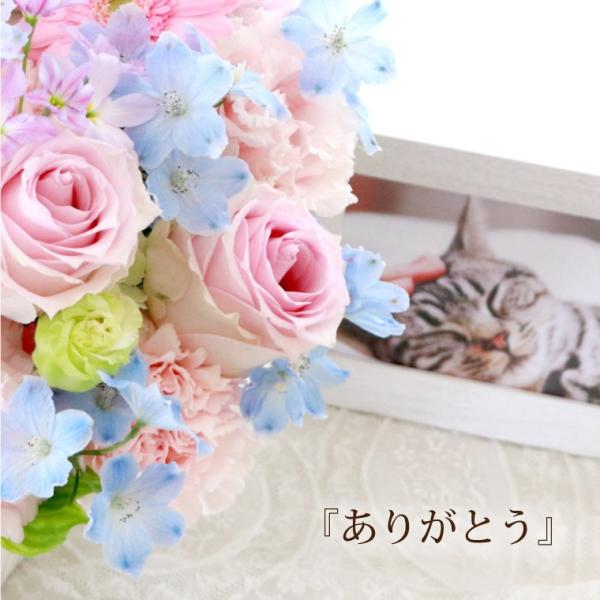 ペット お悔やみ 花 ギフト 星 あの子 Ac お供え お花 犬 猫 命日 フォトフレーム 写真立て ご霊前 供養花 花束 生花 仏花 供花 宅配 贈り物 Buyee Buyee Japanese Proxy Service Buy From Japan Bot Online