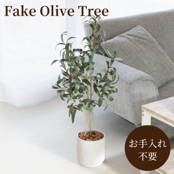 オリーブ 木 室内の人気商品 通販 価格比較 価格 Com