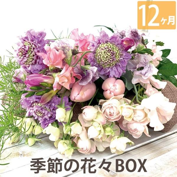 花 プレゼント お花 定期便 花々BOX Bコース12ヶ月 宅配 生花