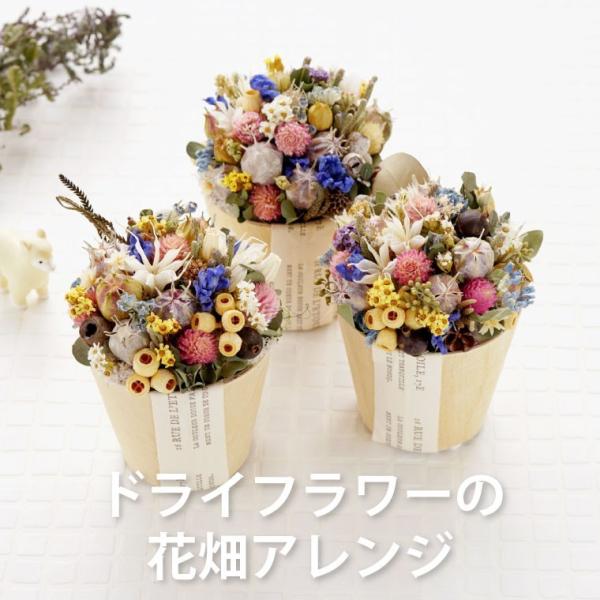 花 ギフト ドライフラワー 花畑 アレンジ 花束 手作り お花 誕生日 プレゼント 女性 おしゃれ 結婚祝い 記念日 贈り物 女友達 母 祖母 Buyee Buyee Jasa Perwakilan Pembelian Barang Online Di Jepang