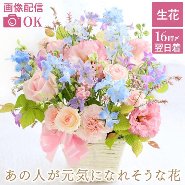 退院祝い 花 ギフト あの人 元気 フラワー アレンジ Ab 生花 アレンジメント お見舞い お花 プレゼント 女性 母 祖母 50代 60代 70代 Fm 005b 横浜花まりかフラワーギフト専門店 通販 Yahoo ショッピング