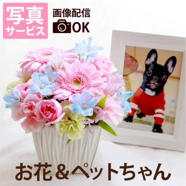 お悔やみ ペット 花 星になったあの子へ 生花 お供え ギフト 犬 猫 うさぎ フェレット ペット専用 供養花 Buyee Buyee Japanese Proxy Service Buy From Japan Bot Online