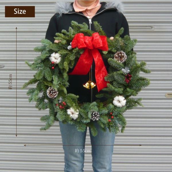 クリスマスリース 玄関 飾り 大きい オレゴンモミ プレシャス フレッシュ リース 55cm 手作り おしゃれ 壁飾り 生花 オーナメント