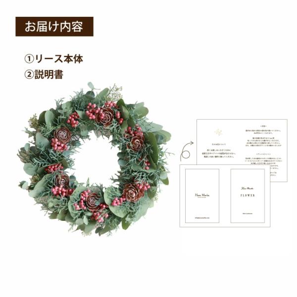 クリスマス リース 生花 フレッシュ ペッパーベリー フレッシュリース M 花 玄関 壁 飾り おしゃれ 北欧 冬 ギフト 誕生日 プレゼント 女性 母 Buyee Buyee 日本の通販商品 オークションの入札サポート 購入サポートサービス