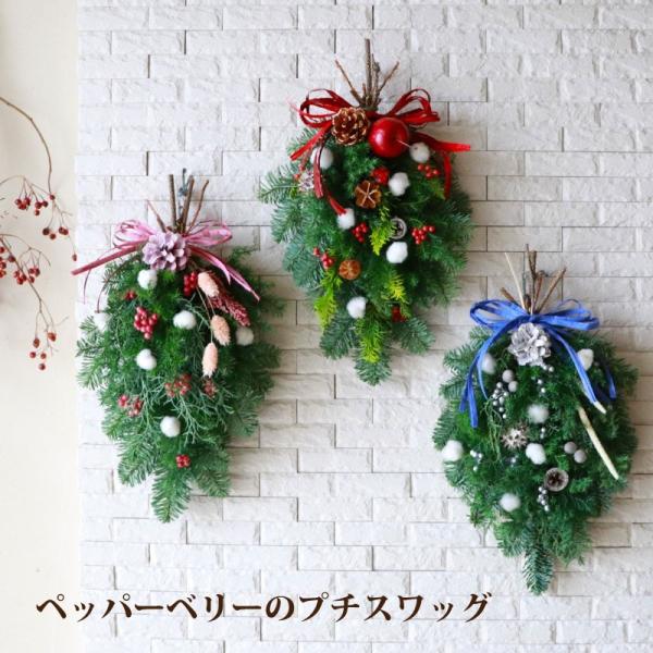 クリスマス スワッグ ペッパーベリー プチスワッグ 生花 フレッシュ 玄関 リビング 部屋 飾り おしゃれ 可愛い 冬 ギフト プレゼント 木の実 モミ Buyee Servis Zakupok Tretim Licom Buyee Pokupajte Iz Yaponii