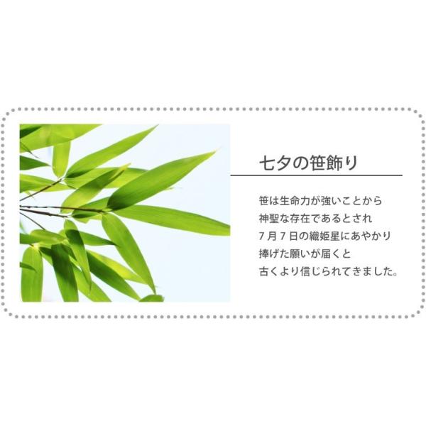 盆栽 鉢 七夕 笹飾り 鉢植え 竹 短冊 七夕飾り おしゃれ 鉢花 夏 ギフト 生花 観葉植物 卓上 飾り 置物 誕生日 プレゼント 祖父 祖母 子ども Buyee Buyee Japanischer Proxy Service Kaufen Sie Aus Japan