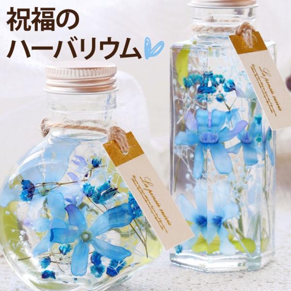 【ブルースターハーバリウム S】花言葉「信じあう心」「幸福な愛」のブルースターを使った結婚祝いにお勧めのハーバリウム。 結婚祝いとして愛されているサムシングブルーの贈り物でい〜っぱいの笑顔がこぼれますように！母の日のギフトや父の日のギフト、...