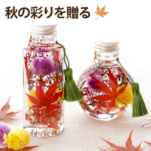 【 紅葉 もみじ ハーバリウム S 】秋の瞬間を切り取ったような、イキイキ彩りきらめくハーバリウムもみじ狩り気分を、いつでも気軽に楽しんでほしいから♪●ご用途：誕生日 プレゼント 花 フラワー ギフト おしゃれ ハーバリウム ギフト インテ...