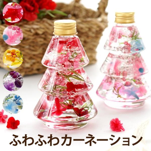 NX}X  v[g ~j J[l[V ӂӂ n[oE  Mtg a  LO NސE җj  40 50 60