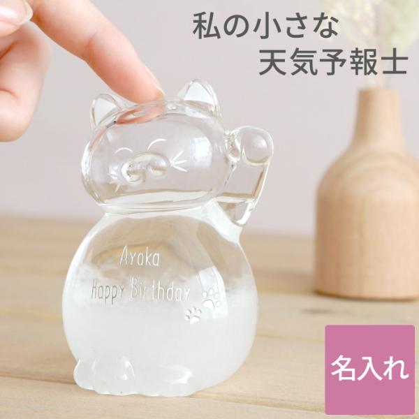 周年記念 お祝い プレゼント 名入れ 名前入り ギフト 猫 の ストームグラス 開店祝い 花以外 誕生日 女性 インテリア おしゃれ 猫グッズ 雑貨 記念品