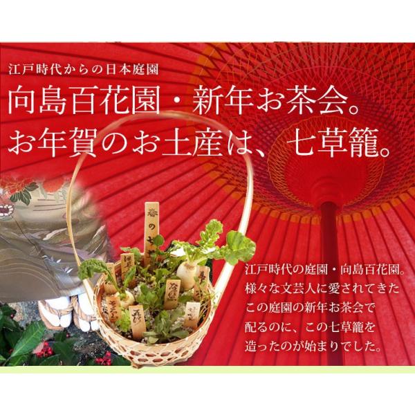 正月飾り 玄関 春の七草 寄せ植え 花 お歳暮 お年賀 おしゃれ ギフト 七草籠 おかゆ 七草がゆ 正月 アレンジ 年末年始 ギフト 宅配 配達 贈り物 Buyee Buyee Japanese Proxy Service Buy From Japan Bot Online