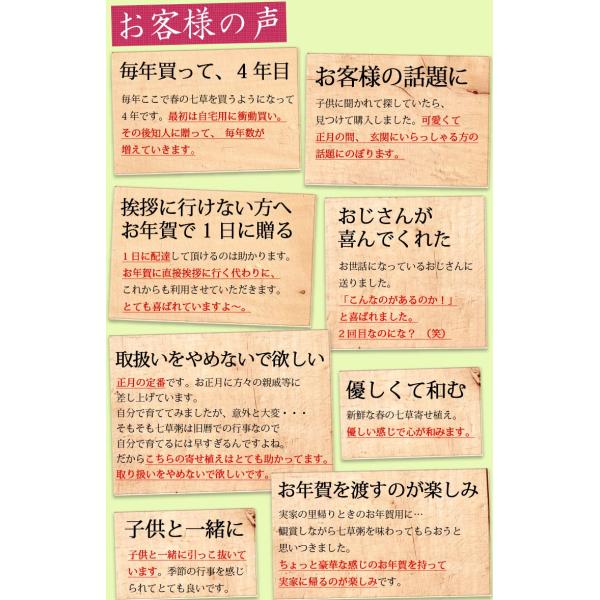 正月飾り 玄関 春の七草 寄せ植え 花 お歳暮 お年賀 おしゃれ ギフト 七草籠 おかゆ 七草がゆ 正月 アレンジ 年末年始 ギフト 宅配 配達 贈り物 Buyee Buyee Japanese Proxy Service Buy From Japan Bot Online
