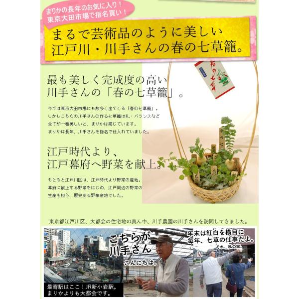 正月飾り 玄関 春の七草 寄せ植え 花 お歳暮 お年賀 おしゃれ ギフト 七草籠 おかゆ 七草がゆ 正月 アレンジ 年末年始 ギフト 宅配 配達 贈り物 Buyee Buyee Japanese Proxy Service Buy From Japan Bot Online