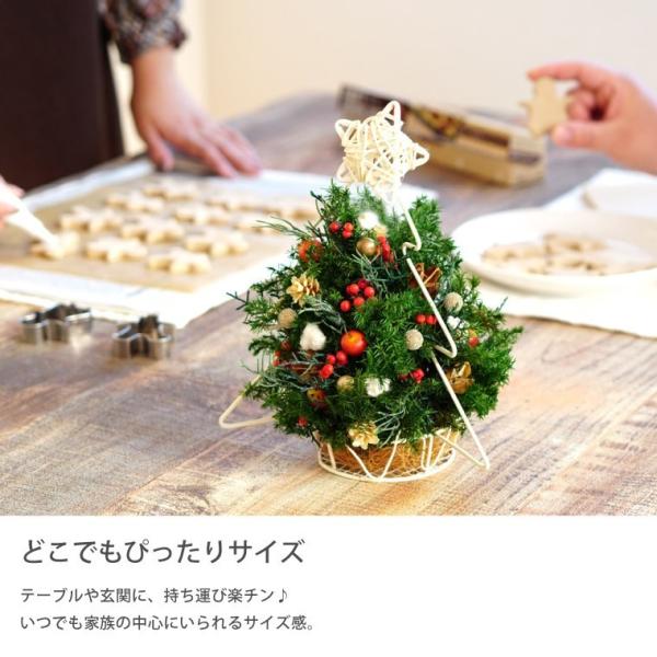 フラワー クリスマスツリー Www Vetrepro Fr