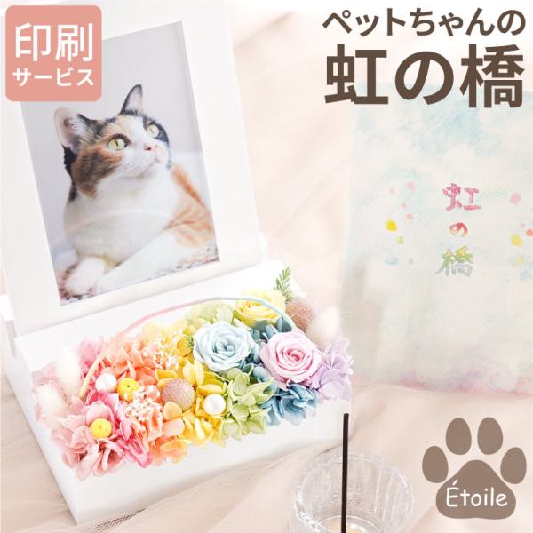 ペット お供え 花 虹の橋フォトフレーム エトワール 写真立て プリザーブドフラワー 犬 猫 ウサギ お悔やみ お花 命日 仏壇 仏花 枕花 一周忌 法要
