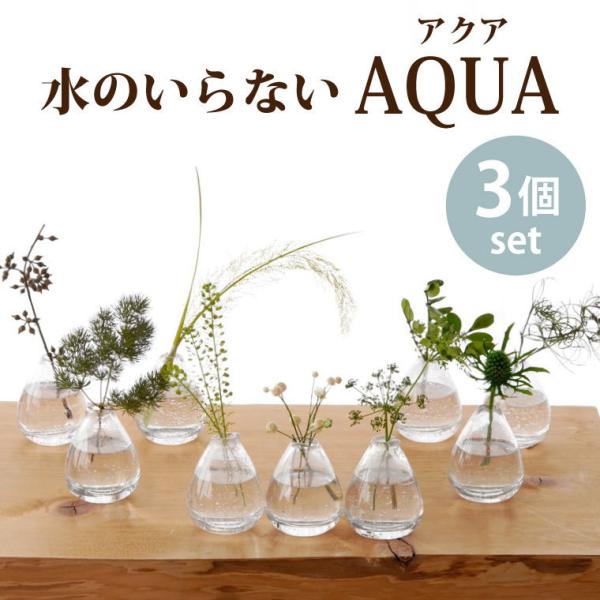 観葉植物 プレゼント 男性の人気商品 通販 価格比較 価格 Com