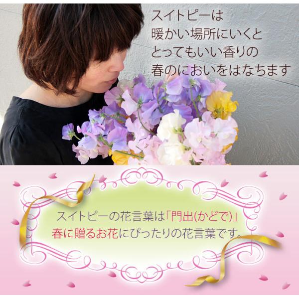 7日前予約品 花 ギフト ミックス スイトピー 25本 花束 生花 プレゼント 卒業式 定年 退職 祝い 女性 お花 誕生日 宅配 贈り物 Buyee Buyee Japanese Proxy Service Buy From Japan Bot Online