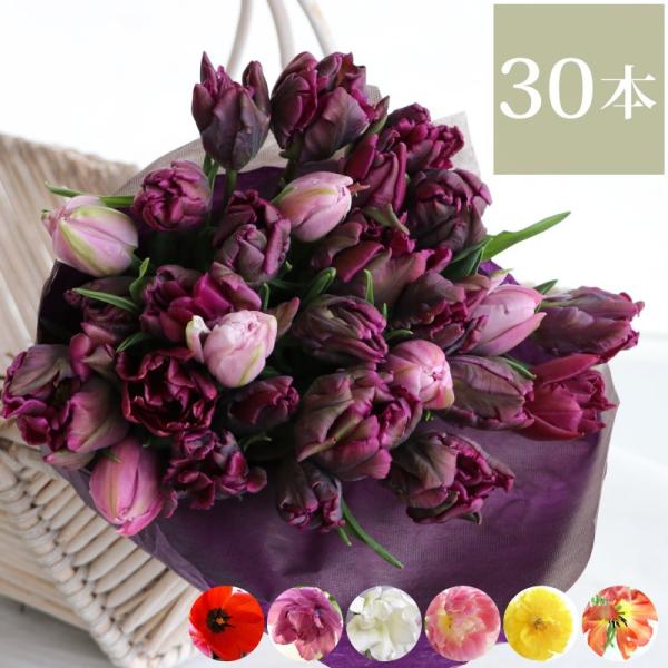 チューリップ プレゼントの人気商品 通販 価格比較 価格 Com