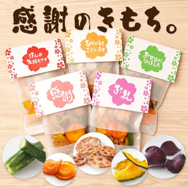 ご挨拶 お菓子 退職 プレゼント ギフト 宴の華 感謝 の プチギフト お配り 職場 手土産 ちょっとした お礼の品 常温 日持ち おしゃれ